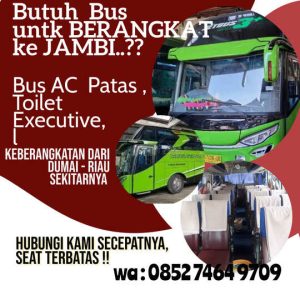 bus pekanbaru jambi