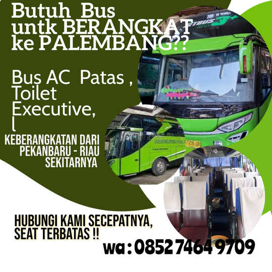 bus pekanbaru palembang